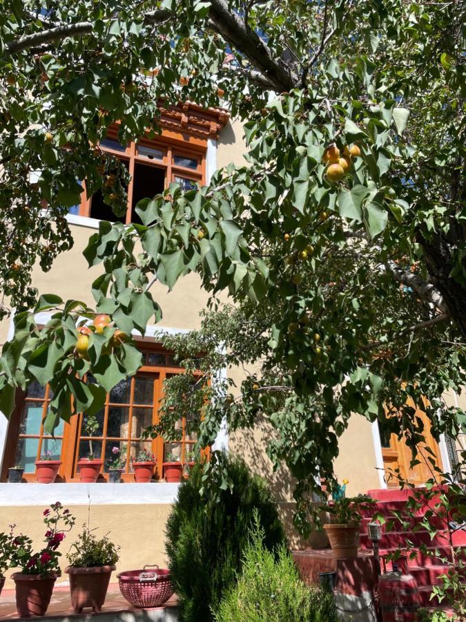 Gaywoo Guest House เลห์ ภายนอก รูปภาพ