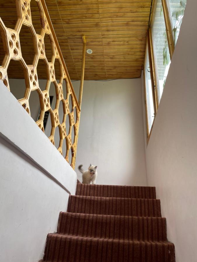 Gaywoo Guest House เลห์ ภายนอก รูปภาพ